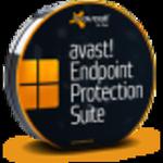 avast! Endpoint Protection Suite w sklepie internetowym antywir24.pl