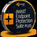 avast! Endpoint Protection Suite Plus w sklepie internetowym antywir24.pl