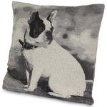 Poduszka dekoracyjna z psem w sklepie internetowym Pigmejka