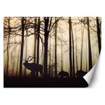 Fototapeta, Zwierzęta w lesie - 250x175 w sklepie internetowym Dekorys