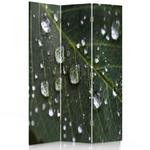 Parawan dwustronny obrotowy, Krople deszczu na liściu - 110x170 w sklepie internetowym Dekorys