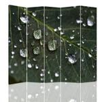 Parawan dwustronny, Krople deszczu na liściu - 180x170 w sklepie internetowym Dekorys