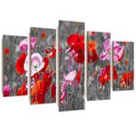 Obraz pięcioczęściowy Deco Panel, Maki na wiosennej łące - 100x70 w sklepie internetowym Dekorys