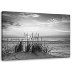 Obraz na płótnie, Trawy na plaży - czarno-biały - 120x80 w sklepie internetowym Dekorys