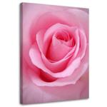 Obraz na płótnie, Różowe płatki róży - 40x60 w sklepie internetowym Dekorys