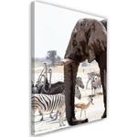 Obraz na płótnie, Zwierzęta na sawannie - słoń zebry strusie antylopy - 40x60 w sklepie internetowym Dekorys