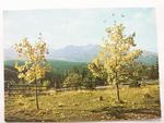 TATRY WYSOKIE. PANORAMA TATR Z GŁODÓWKI FOT. T. OLSZEWSKI w sklepie internetowym staradobraksiazka.pl