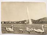 GENEVE. LE JET D'EAU (120 m.) ET LE MT. BLANC w sklepie internetowym staradobraksiazka.pl