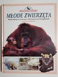 MŁODE ZWIERZĘTA. ŚWIAT MŁODYCH ZWIERZĄT - David Alderton 1994 w sklepie internetowym staradobraksiazka.pl