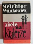 ZIELE NA KRATERZE - Melchior Wańkowicz w sklepie internetowym staradobraksiazka.pl