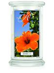 Kringle Candle Hibiscus Large 2 Wick Classic Hibiskus w sklepie internetowym Świece Zapachowe 