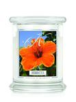 Kringle Candle Hibiscus Medium 2 Wick Classic Hibiskus w sklepie internetowym Świece Zapachowe 