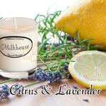 Milkhouse Candles CITRUS & LAVENDER Shot w sklepie internetowym Świece Zapachowe 