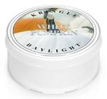 Daylight świeczka White Pumpkin Kringle Candle w sklepie internetowym Aromatowo.pl