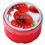 Daylight świeczka Wild Poppies Kringle Candle w sklepie internetowym Aromatowo.pl