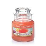 Mała świeca Passion Fruit Martini Yankee Candle w sklepie internetowym Aromatowo.pl