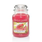 Duża świeca Pink Dragon Fruit Yankee Candle w sklepie internetowym Aromatowo.pl