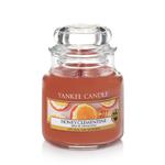 Mała świeca Honey Clementine Yankee Candle w sklepie internetowym Aromatowo.pl