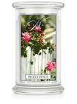 Duża świeca Picket Fence Kringle Candle w sklepie internetowym Aromatowo.pl