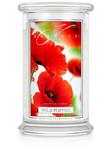 Duża świeca Wild Poppies Kringle Candle w sklepie internetowym Aromatowo.pl