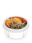 Wosk Pumpkin Sage Kringle Candle w sklepie internetowym Aromatowo.pl