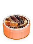 Daylight świeczka Autumn Harvest Kringle Candle w sklepie internetowym Aromatowo.pl