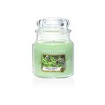 Średnia świeca Wild Mint Yankee Candle w sklepie internetowym Aromatowo.pl