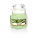 Mała świeca Wild Mint Yankee Candle w sklepie internetowym Aromatowo.pl