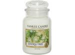 Duża świeca Linden Tree Yankee Candle w sklepie internetowym Aromatowo.pl