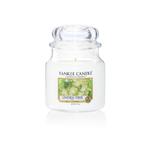 Średnia świeca Linden Tree Yankee Candle w sklepie internetowym Aromatowo.pl