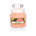 Mała świeca Delicious Guava Yankee Candle w sklepie internetowym Aromatowo.pl