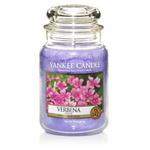 Duża świeca Verbena Yankee Candle w sklepie internetowym Aromatowo.pl