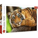 TREFL 500 EL. PORTRET TYGRYSA PUZZLE 6+ w sklepie internetowym Malako.pl