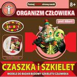 Czaszka i Szkielet Profesor Albert - Dromader w sklepie internetowym Edukraina.pl