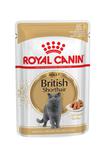 ROYAL CANIN BRITISH SHORTHAIR saszetka 85g w sklepie internetowym Supermarket-zoologiczny.pl