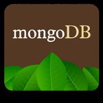 Kurs MongoDB - nowoczesne bazy danych w sklepie internetowym Vebo.pl