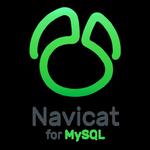 Navicat for MySQL 12 (Windows) w sklepie internetowym Vebo.pl