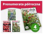 Jagodnik – prenumerata półroczna (4 numery) w sklepie internetowym Sklep-oikos.pl