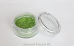 Błyszczący proszek Fengda Glitter Grass green 10 ml w sklepie internetowym Aerograf-Fengda