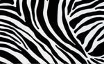 Folia-okleina dekoracyjna zebra 10133/11029/11031 w sklepie internetowym Profilms 