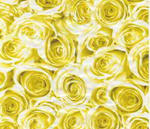 Folia okleina meblowa Gekkofix Roses Yellow 12858 w sklepie internetowym Profilms 