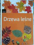 Młody obserwator przyrody Drzewa leśne w sklepie internetowym otoksiazka24.pl