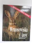 Wrzosowiska i lasy mieszane Encyklopedia dzikich w sklepie internetowym otoksiazka24.pl