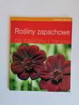 Rośliny zapachowe na balkony i tarasy w sklepie internetowym otoksiazka24.pl