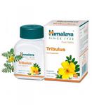 Gokshura (Tribulus Terrestris), Himalaya Herbals, 60 kapsułek w sklepie internetowym  BIOKORD 