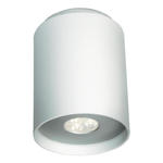 Philips 53160 Lampa sufitowa LED 7,5W(40W) 350 lm w sklepie internetowym Kupwkoszalinie