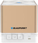 Przenośny głośnik Blaupunkt BT02GOLD - BLUETOOTH / SD / MP3 / FM w sklepie internetowym KlimaSklep