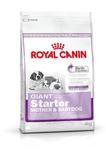 Royal Canin Giant Starter Mother & Babydog 15kg w sklepie internetowym keko.pl