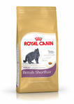 Royal Canin British Shorthair 34 2kg w sklepie internetowym keko.pl