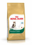 Royal Canin Kitten Maine Coon 36 2kg w sklepie internetowym keko.pl